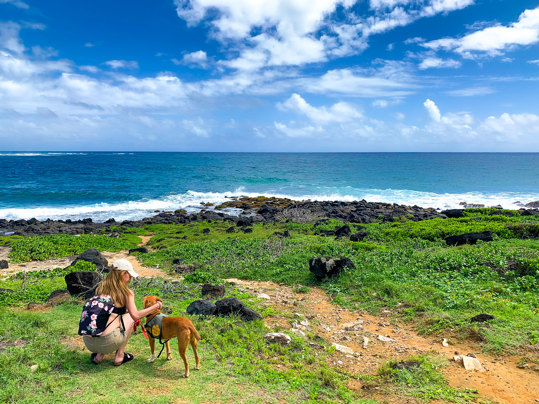 Kauai Humane Society shelter dog field trips Poipu Beach